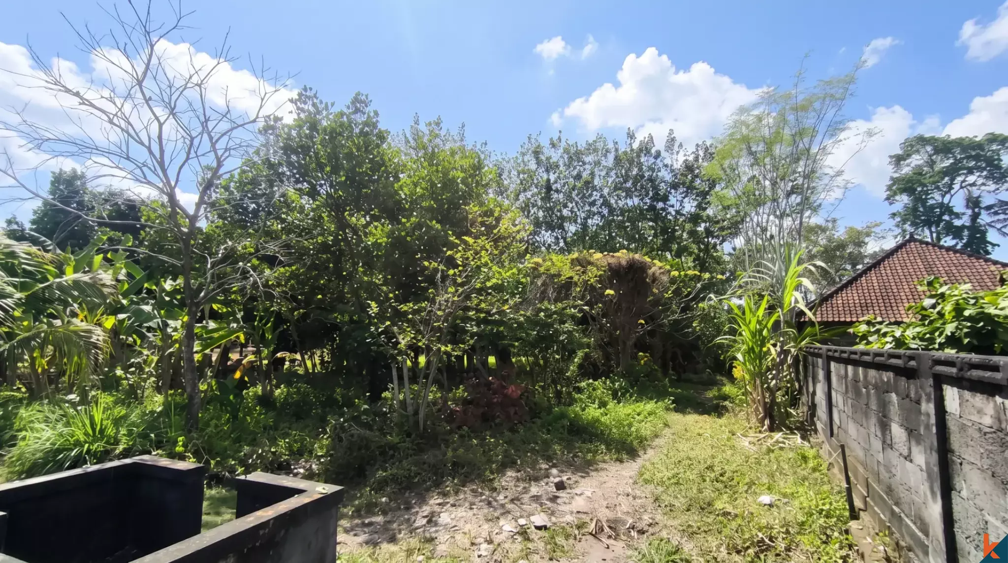 Perfect jungle views plot for long lease in serene part of Buwit