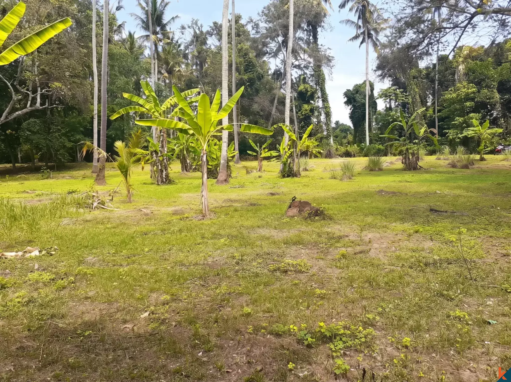 Tanah Hak Milik Langka 53 Are Tepi Sungai 3 Menit ke Pantai Pasut