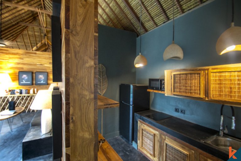 New jungle view mini resort six villas for lease in Ubud