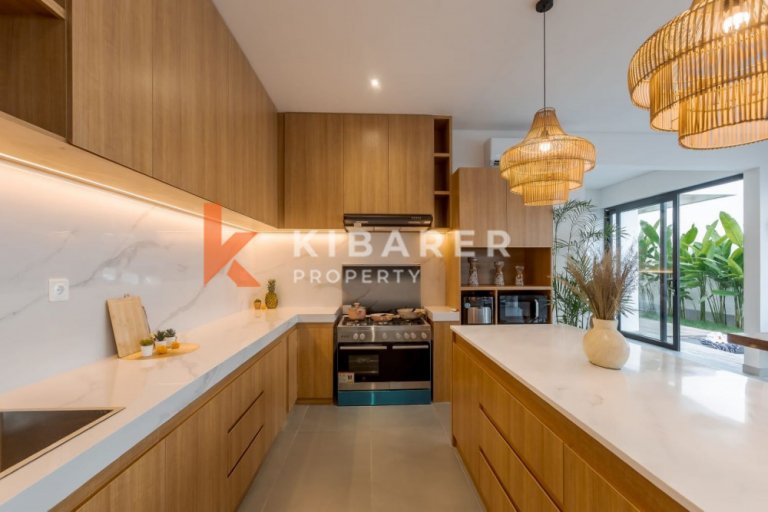 Stunning and Stylish Brand New Four Bedrooms Villa in the heart of Canggu