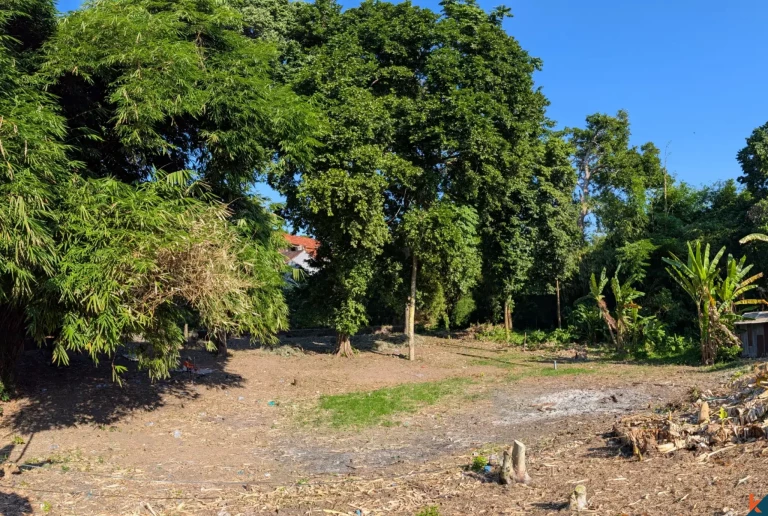 Rare Long Lease Opportunity 9.5 Are Land in Canggu