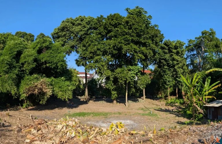 Rare Long Lease Opportunity 9.5 Are Land in Canggu