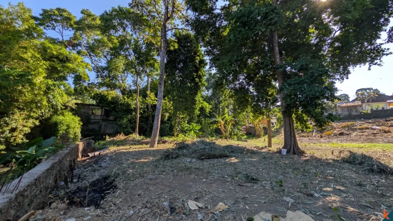 Rare Long Lease Opportunity 9.5 Are Land in Canggu