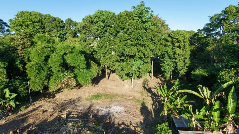 Rare Long Lease Opportunity 9.5 Are Land in Canggu