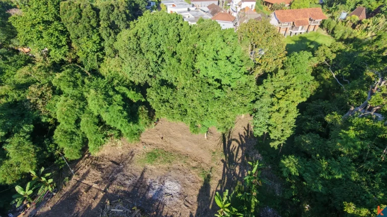 Rare Long Lease Opportunity 9.5 Are Land in Canggu