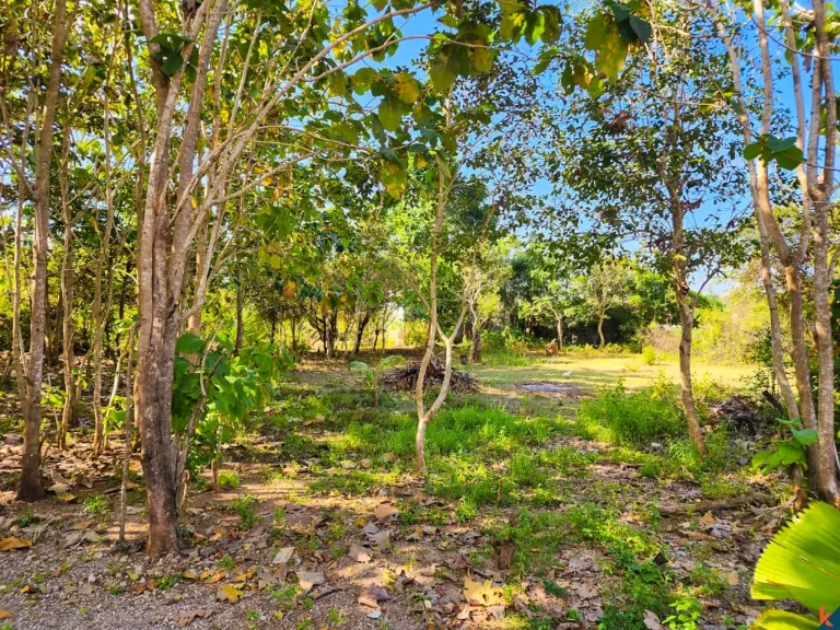 Great Freehold Plot of Land Located in Residential Area of Jimbaran - Nusa Dua