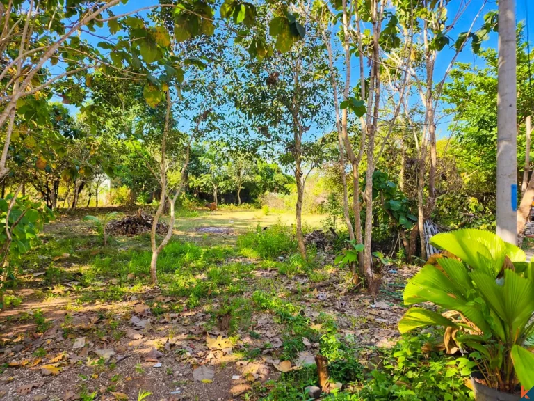 Great Freehold Plot of Land Located in Residential Area of Jimbaran - Nusa Dua
