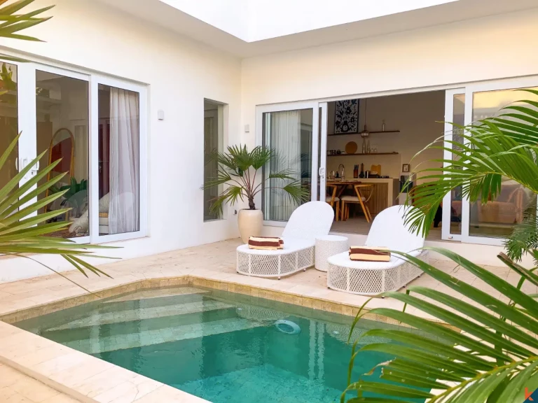 Brand new Modern One Bedroom Villa for Lease in Canggu