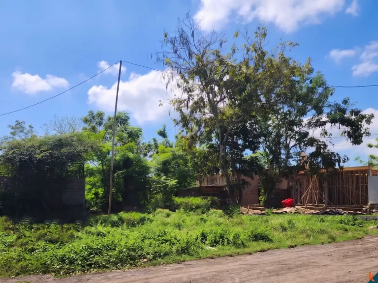Compact Long Lease Plot in the Tourism Area of Balangan