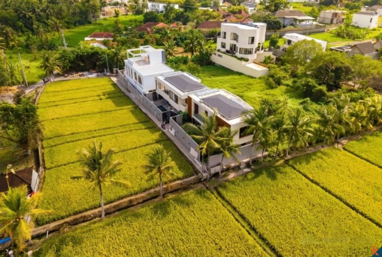 Two Bedroom Villa with rice field view in Kedungu
