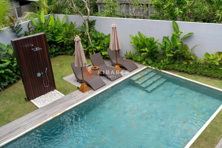 Bright Modern Three Bedroom Villa in Canggu Babakan (available Nov 1st 2026)