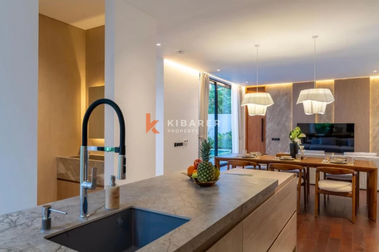 Bright Modern Three Bedroom Villa in Canggu Babakan (available Nov 1st 2026)
