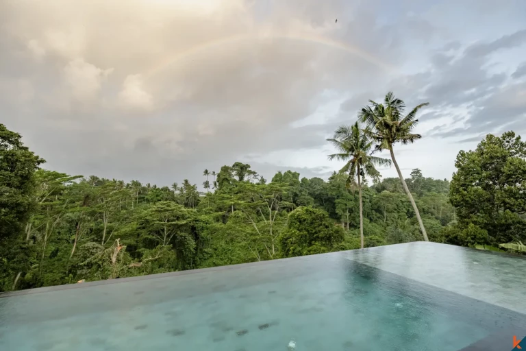 Luxury Four Bedroom Leasehold Property with Jungle Canyon Views in Ubud