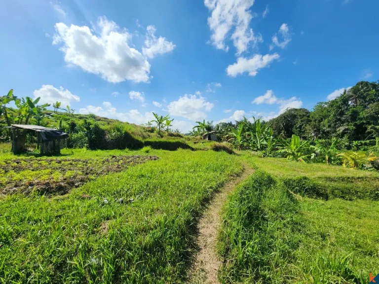 Tanah kompak hak milik yang indah dengan pemandangan hutan di Ubud - Abiansemal