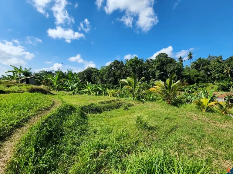 Tanah kompak hak milik yang indah dengan pemandangan hutan di Ubud - Abiansemal
