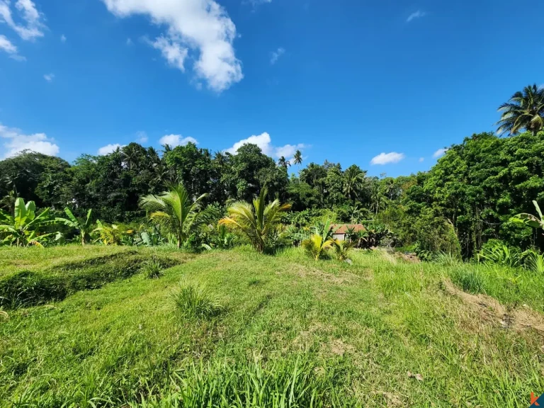 Tanah kompak hak milik yang indah dengan pemandangan hutan di Ubud - Abiansemal