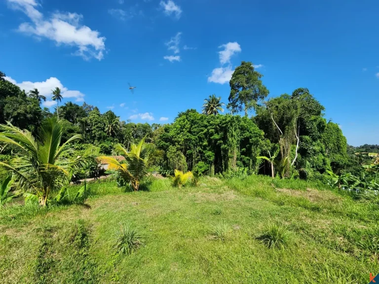 Tanah kompak hak milik yang indah dengan pemandangan hutan di Ubud - Abiansemal
