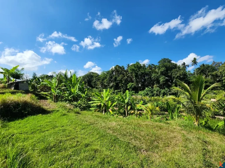 Tanah kompak hak milik yang indah dengan pemandangan hutan di Ubud - Abiansemal