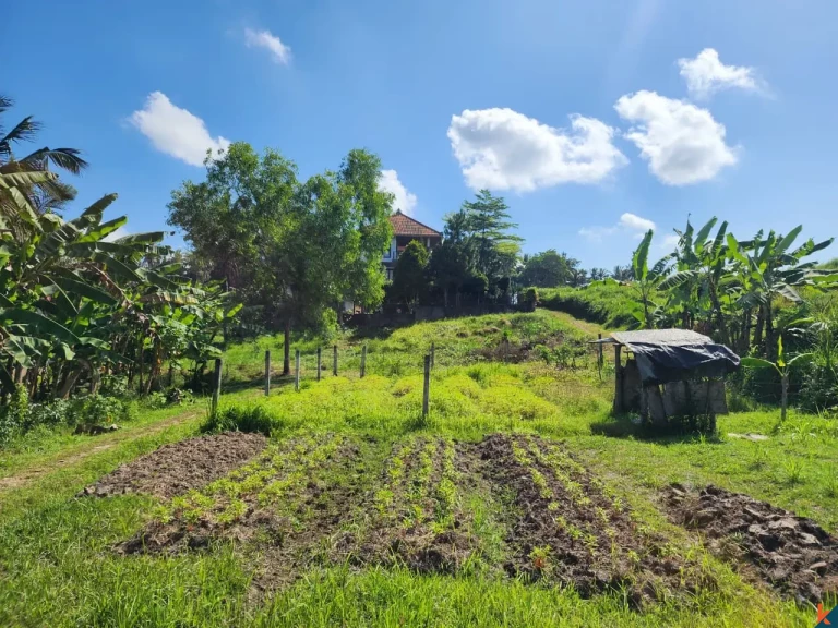 Tanah kompak hak milik yang indah dengan pemandangan hutan di Ubud - Abiansemal