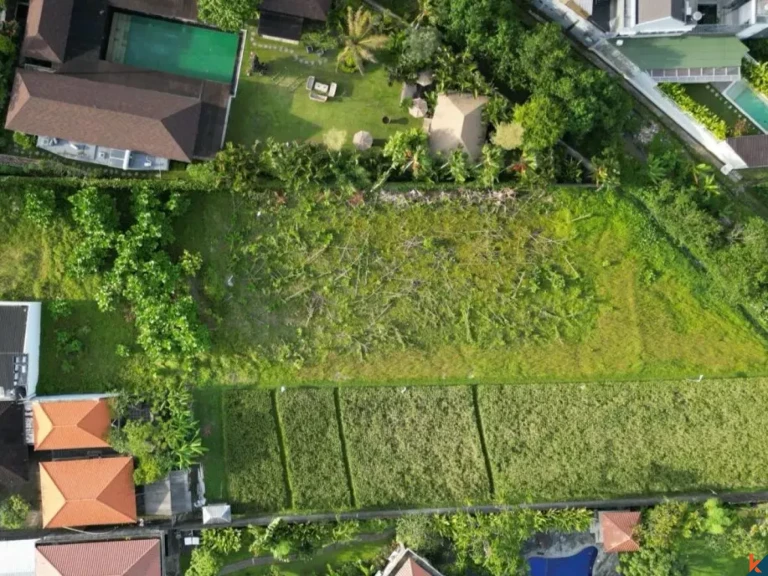 Terrain résidentiel plat de premier choix de 9 ares à louer à Kerobokan