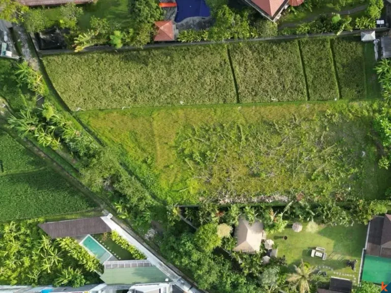 Terrain résidentiel plat de premier choix de 9 ares à louer à Kerobokan