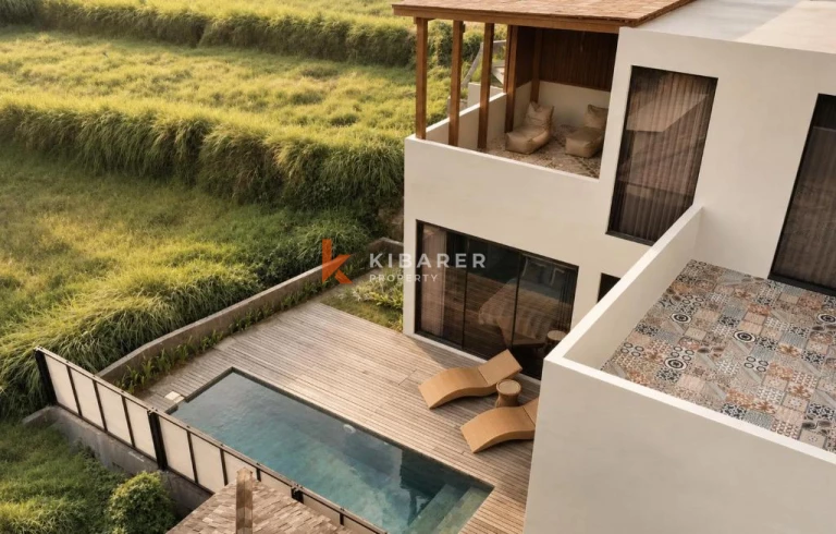 Havenly Lux Two Bedroom Villa in Ubud