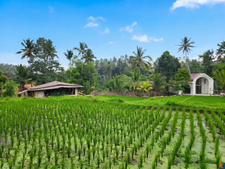 Superbe opportunité d'investissement foncier à Ubud - Tegalalang, offrant une vue imprenable sur la verdure et des berges de rivière