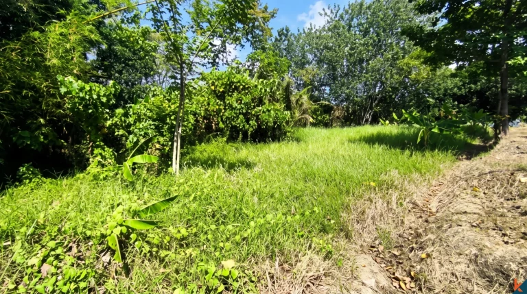 Perfect jungle views plot for long lease in serene part of Buwit