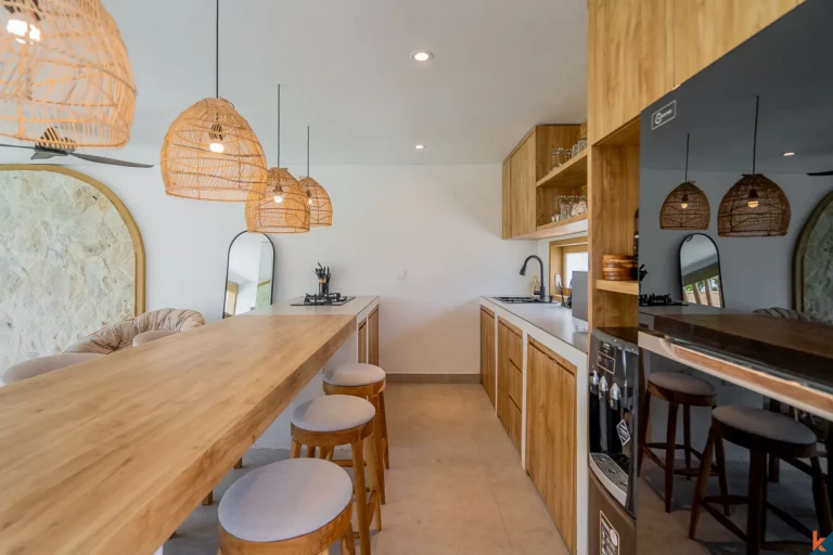 Tropical Three Bedroom Leasehold Villa for Sale in Tibubeneng, Canggu