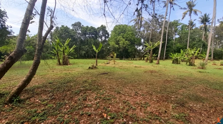 Tanah Hak Milik Langka 53 Are Tepi Sungai 3 Menit ke Pantai Pasut
