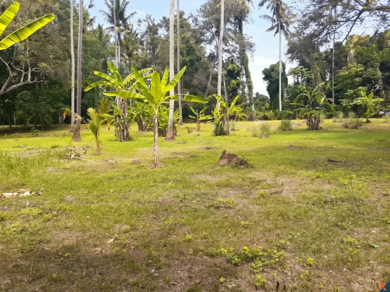 Tanah Hak Milik Langka 53 Are Tepi Sungai 3 Menit ke Pantai Pasut