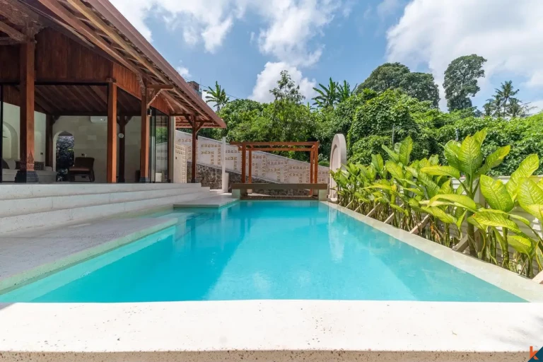 10x4m private pool at brand new Joglo villa for sale in Mas, Ubud