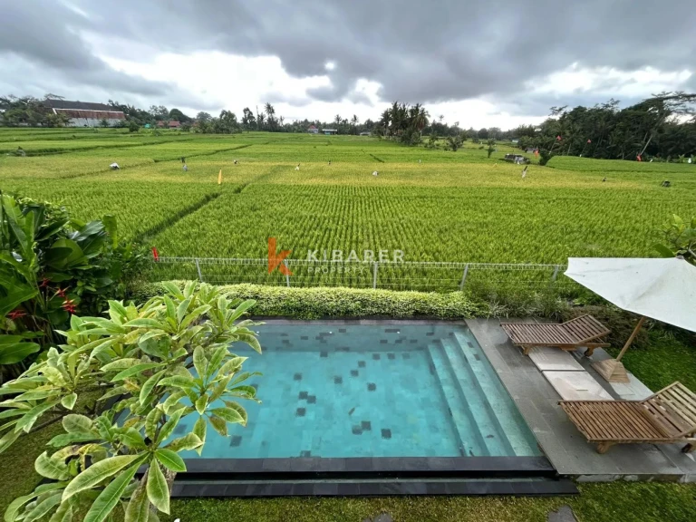 Bali Breeze Two Bedroom Villa in Ubud with Paddy Field View