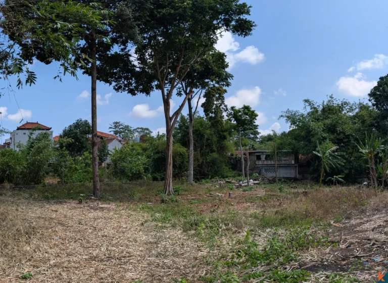 Rare opportunité de bail longue durée terrain de 9,5 ares à Canggu