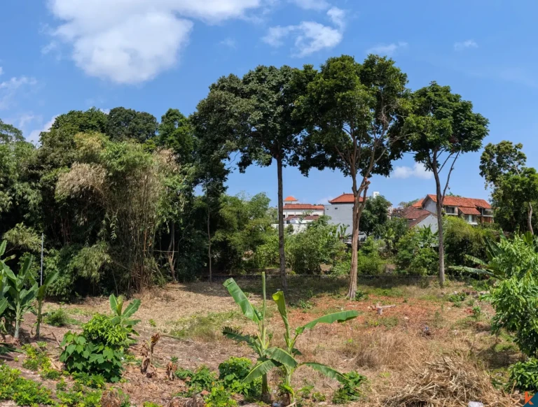 Rare opportunité de bail longue durée terrain de 9,5 ares à Canggu