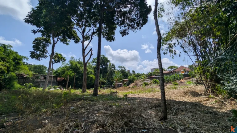 Rare opportunité de bail longue durée terrain de 9,5 ares à Canggu