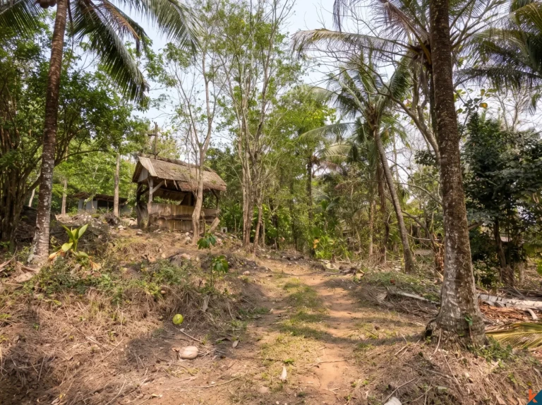 Terrain en bail emphytéotique idéal pour des projets de développement à Balian